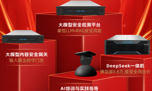 赛宁网安大模型四件套重磅发布！院士领衔，清华复旦老师最佳实践指导