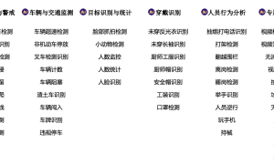 韦达ai快报丨韦达控股发布矿山行业专用算法，推动矿山智能化管理